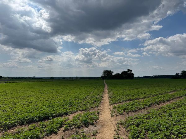 A public footpath through a field